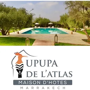 Upupa De L’atlas Hotel Ouled el guerne