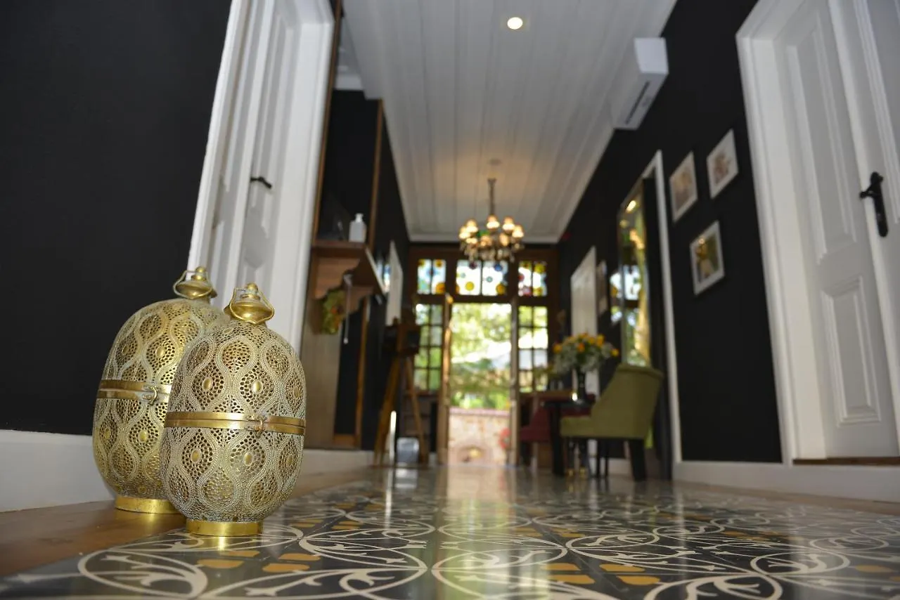 Bed and breakfast Hotel Lykia Old Town Antalya Turquía